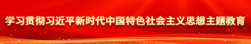 大屌爆操小骚逼视频学习贯彻习近平新时代中国特色社会主义思想主题教育